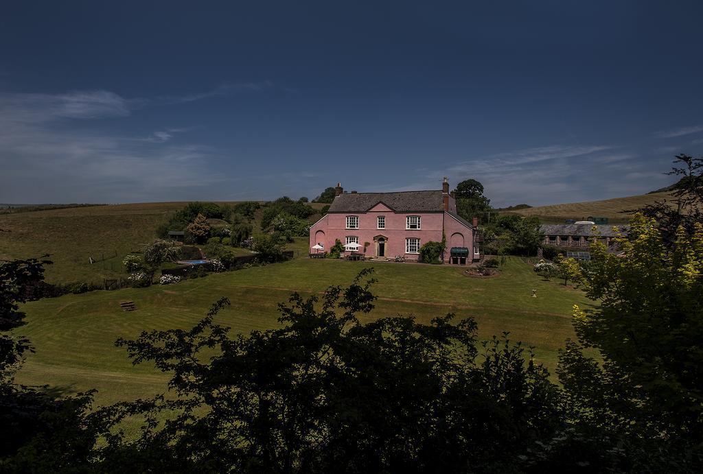 Wood Advent Farm Washford Екстериор снимка